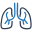 Pulmonology