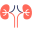 Nephrology